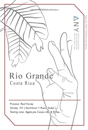 【100g】Rio Grande, Costa Rica - Red honey / リオ・グランデ、コスタリカ - レッドハニー