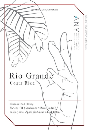 【100g】Rio Grande, Costa Rica - Red honey / リオ・グランデ、コスタリカ - レッドハニー