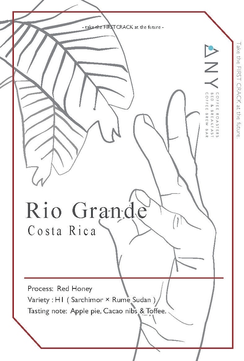 【100g】Rio Grande, Costa Rica - Red honey / リオ・グランデ、コスタリカ - レッドハニー