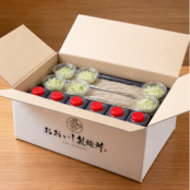 おおいし二八そば|冷そば用・8人前【ストレートつゆ・薬味付き】