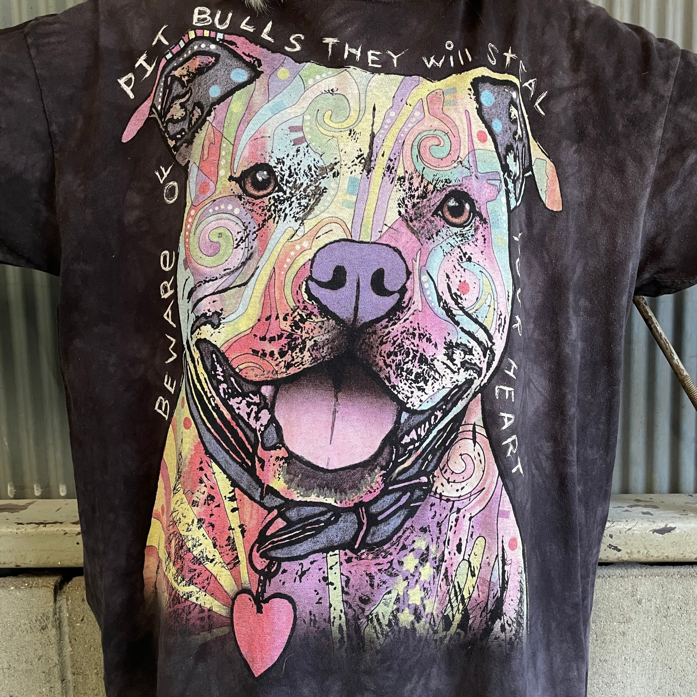 THE MOUNTAIN 犬 アニマル アート プリントTシャツ メンズ2XL相当 古着 