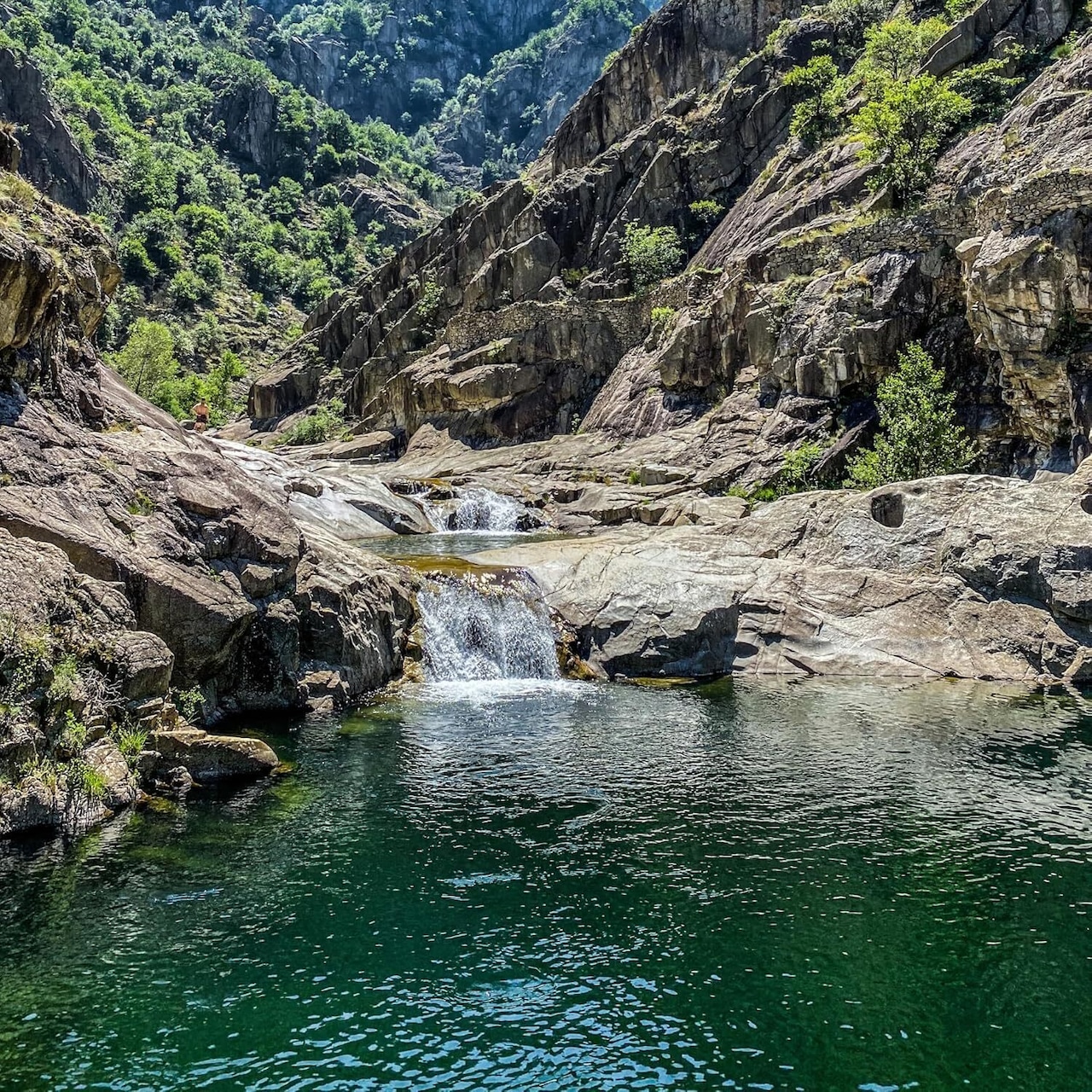 ウルグアイ産 フレッシュキャビア バエリ種|非加熱・無添加|シベリアチョウザメの卵|粒径2.6〜2.8mm・マロソル仕立て(低塩)・アンデス岩塩使用|ギフトBOX付| Fresh Caviar from Uruguay – Baerii (Siberian Sturgeon)|Unpasteurized & Additive-Free|Grain Size 2.6–2.8mm|Lightly Salted with Andes Rock Salt|Gift Box Included (20g)