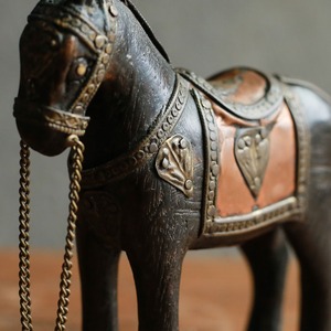 手放したくないほど美しい馬 18