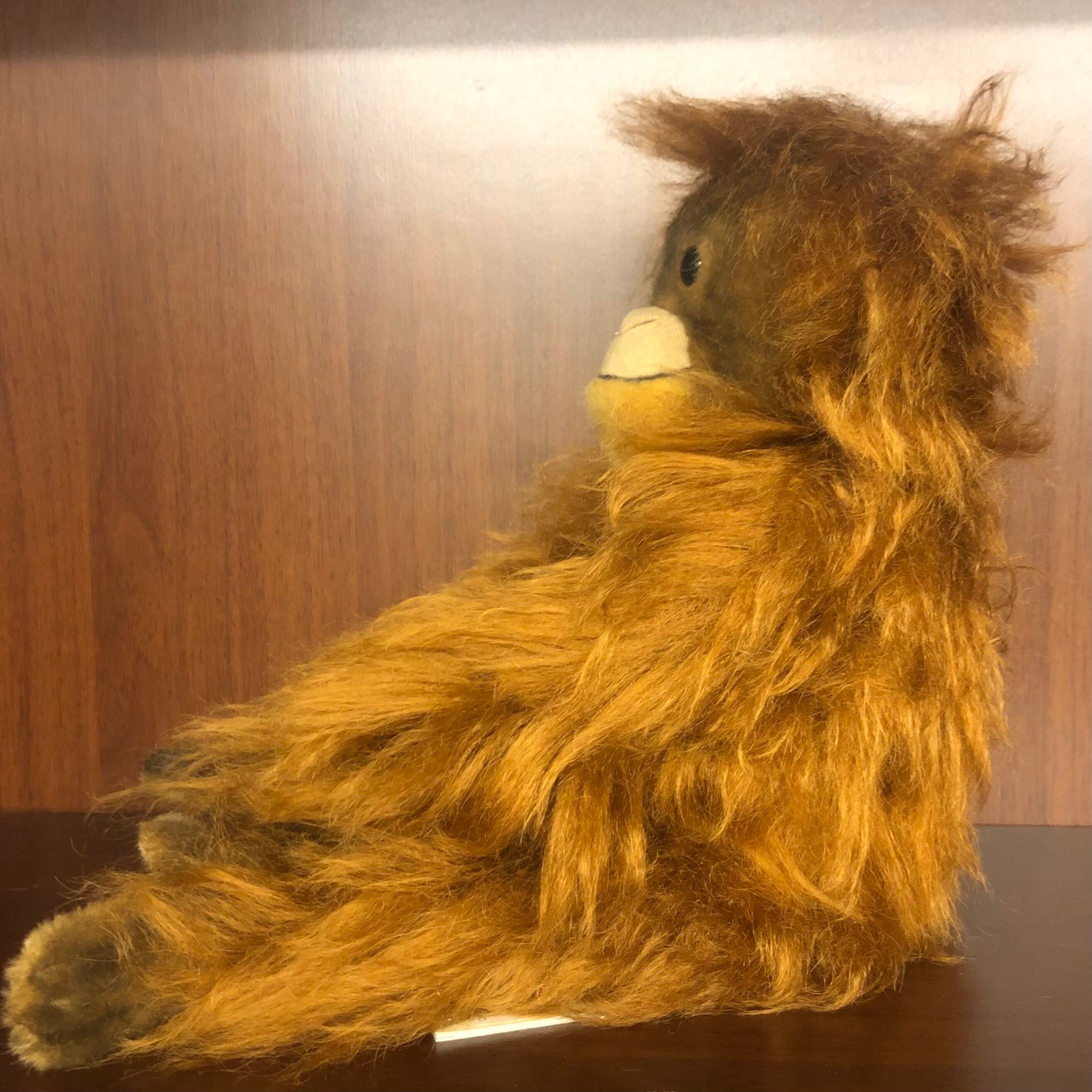 KOSENケーセン社 / オランウータン | wg-anne