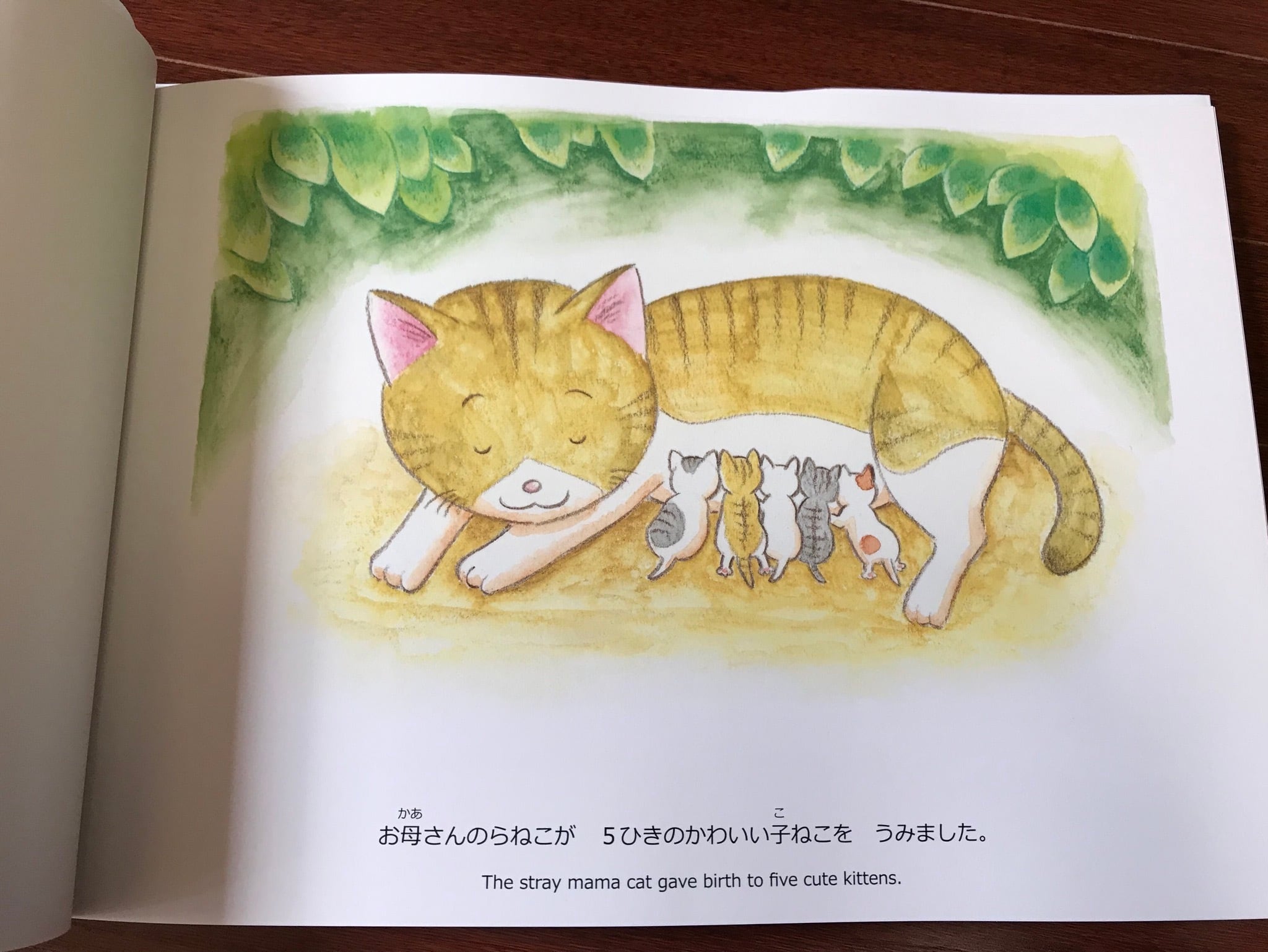 4～15冊注文用】『お母さんのらねこのおはなし』絵本 英訳入り B5判横