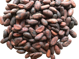 ブラジル カカオ77%  Bean to Bar チョコレート