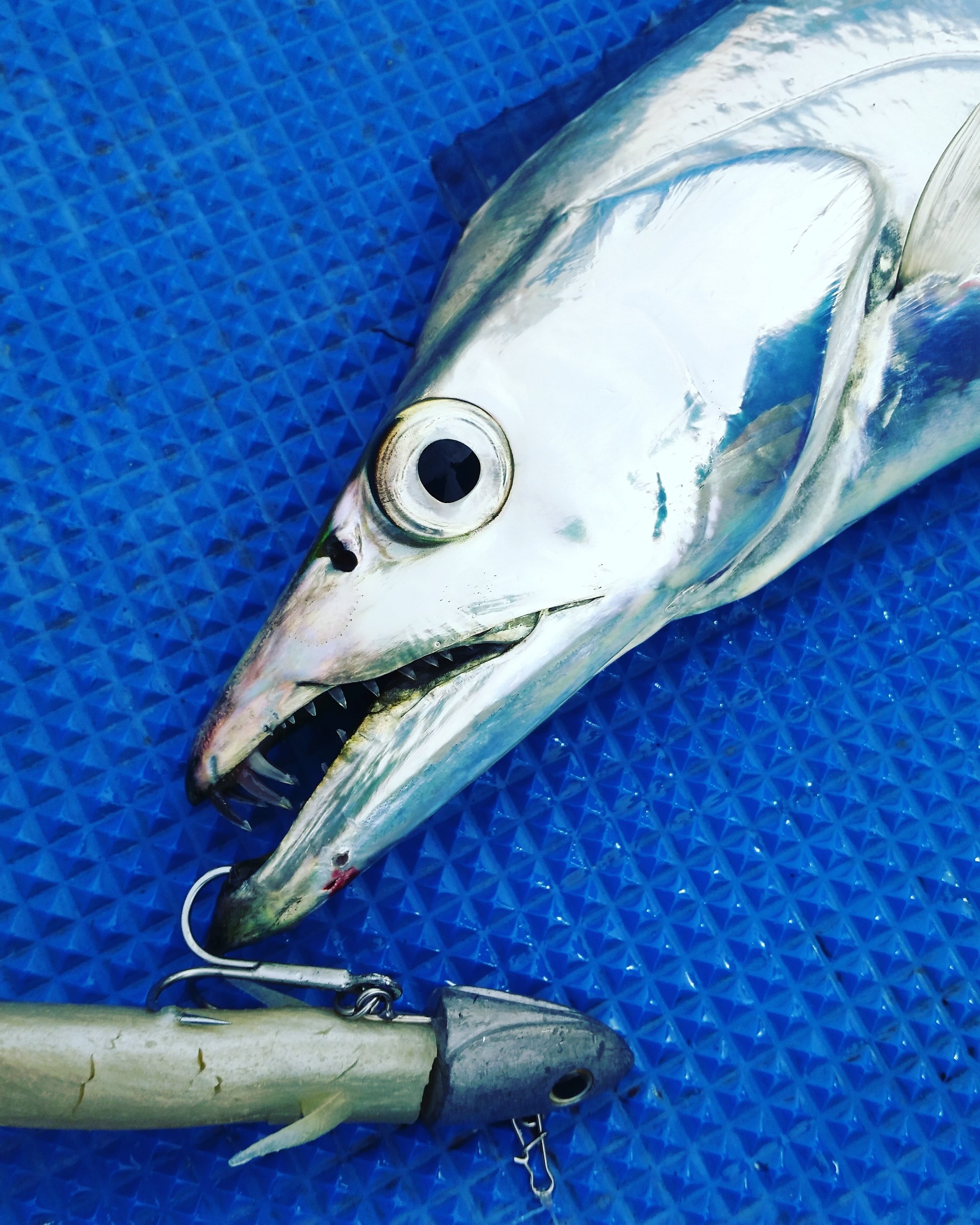 タッチミー 35g 40g | goober