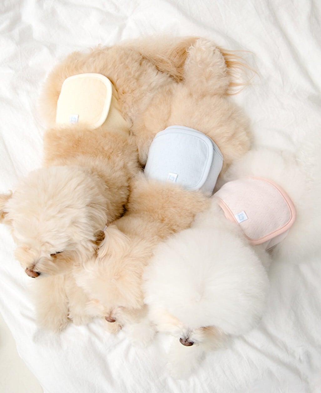 即納【BITEME】Soft Hug Manner Belt (3colors)