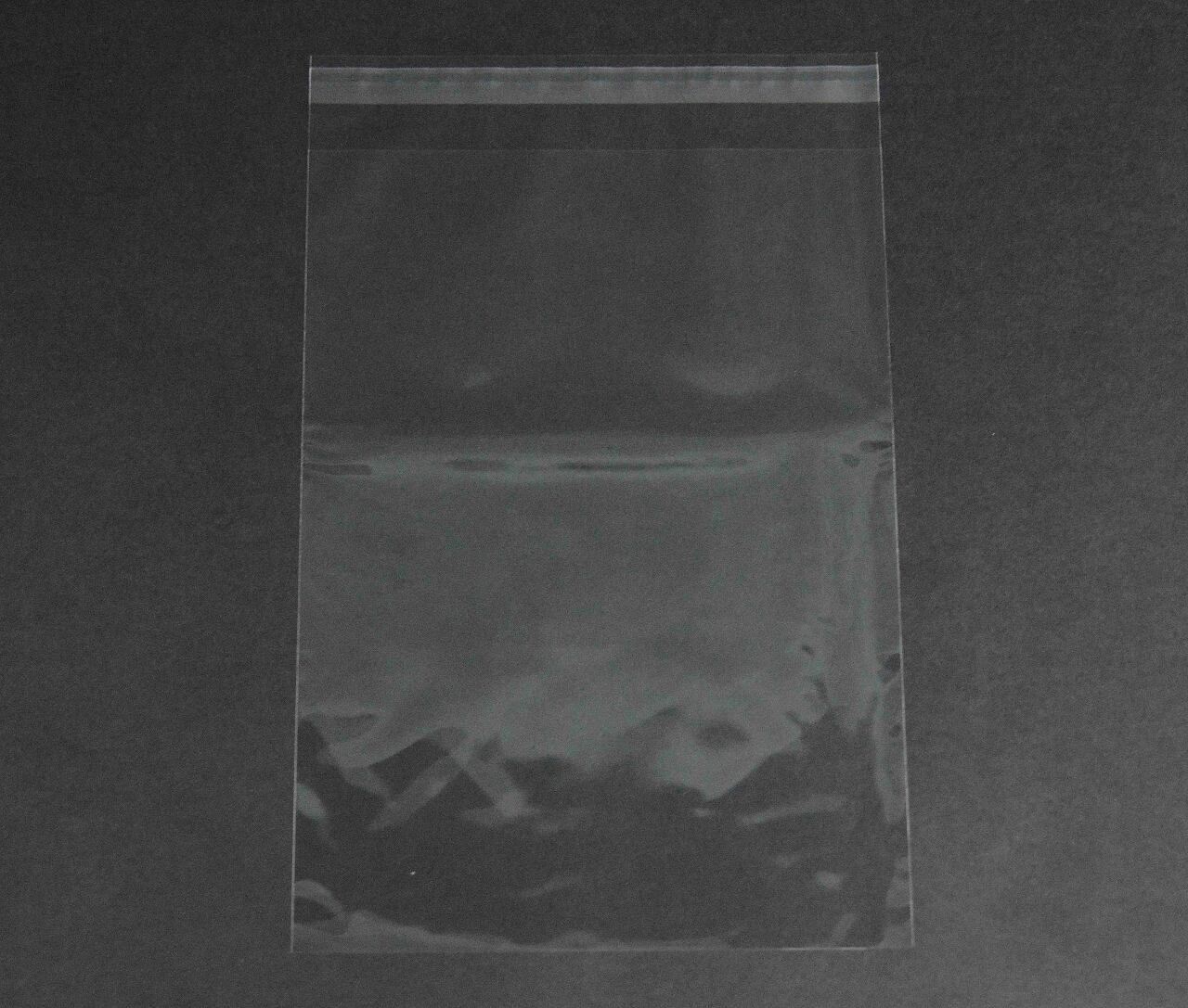 雑貨小分け包装・部品、資料整理(OPP袋 OPP袋 雑貨袋 テープ付き)横220×縦310+フタ40mm 30μ(0.03mm)【1,000枚】