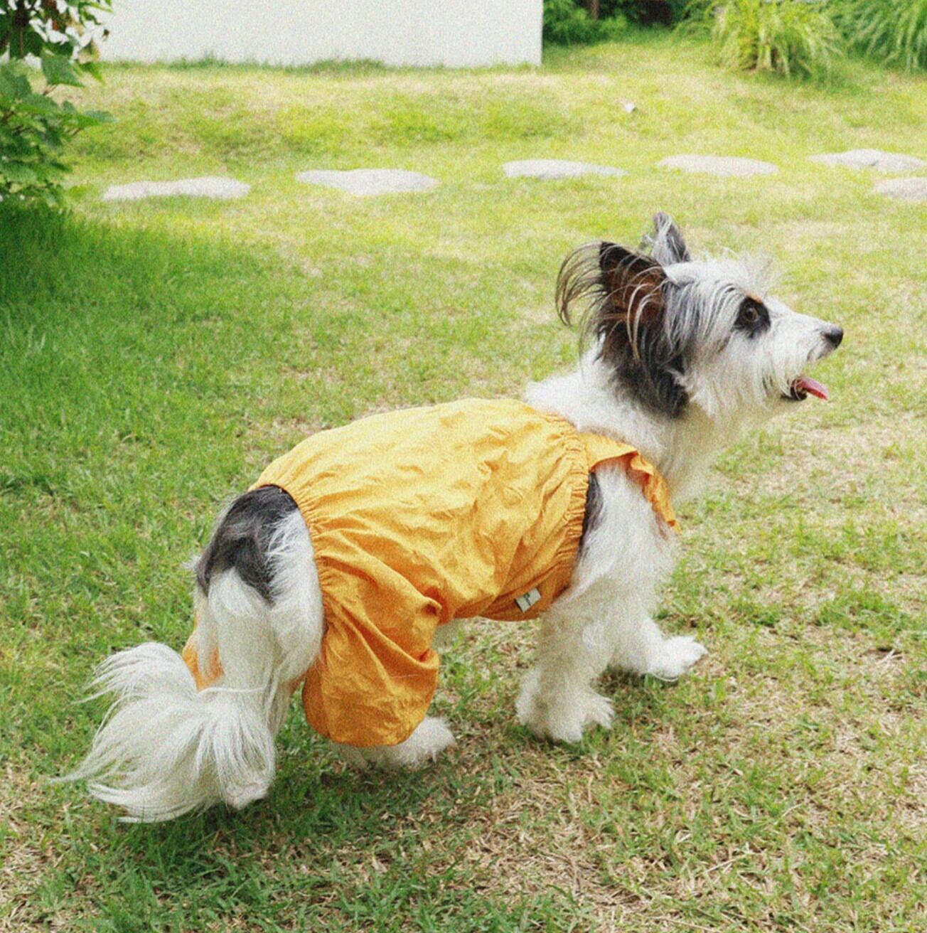 予約【noonoosoom】Dots Ballon Allinone (Yellow)