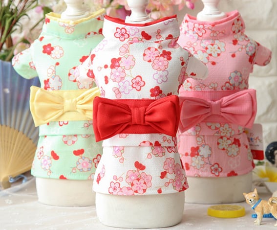 【フリーサイズ】 お祭りやイベントにぴったり 春夏用 ペット服