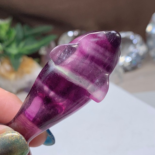 1.癒☆可愛いフローライトイルカさん