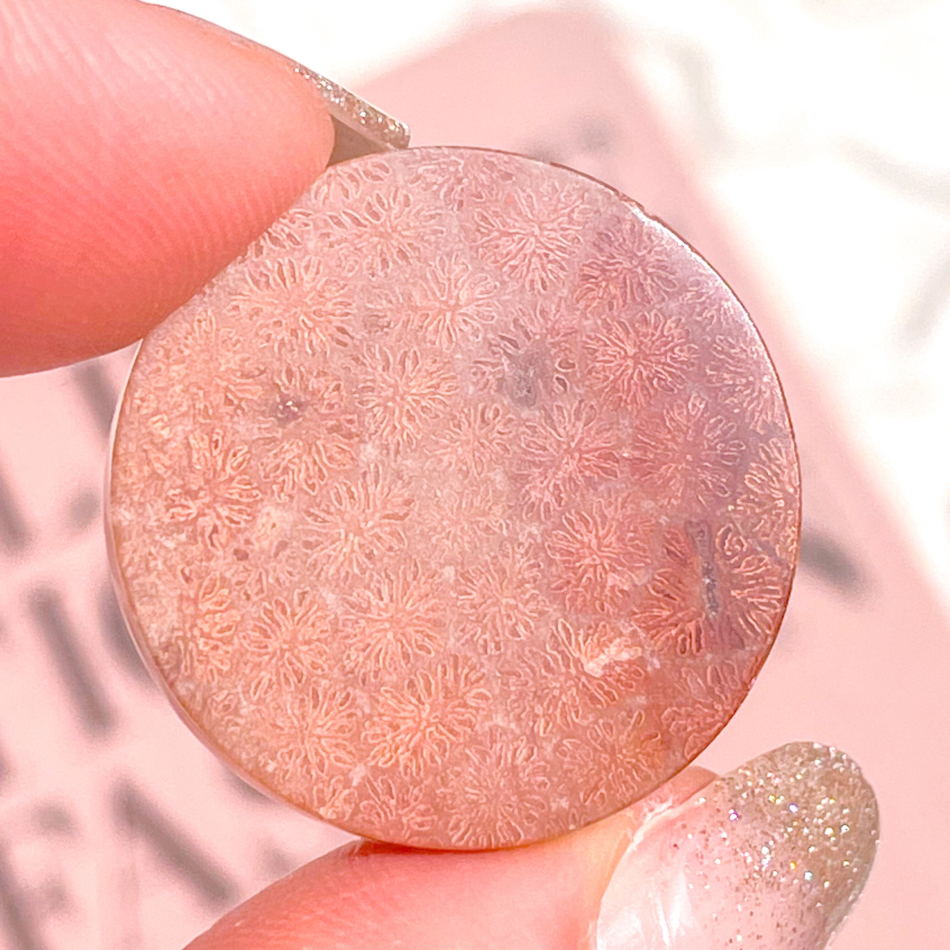 Fossile Coral Round ✧ フォッシルコーラル (化石珊瑚) | FLUXY