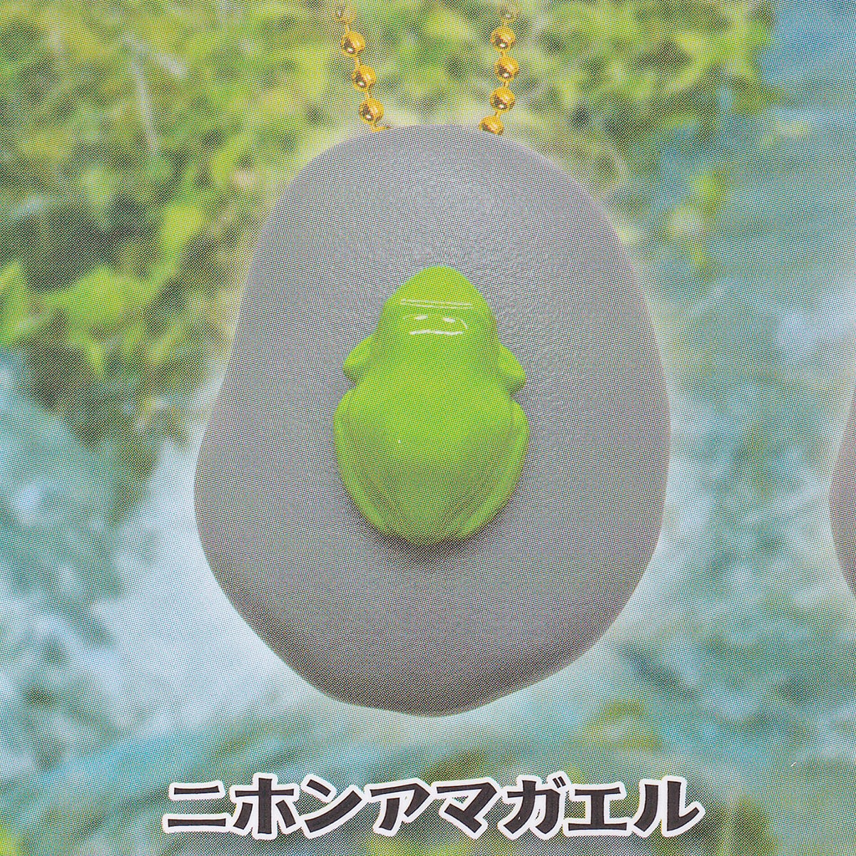 ニホンアマガエル （カエルの鳴き声 蛙 音声 ボタンを押す かえる グッズ Frog かわいい フィギュア 模型 おもちゃ ガチャガチャ SO-TA）