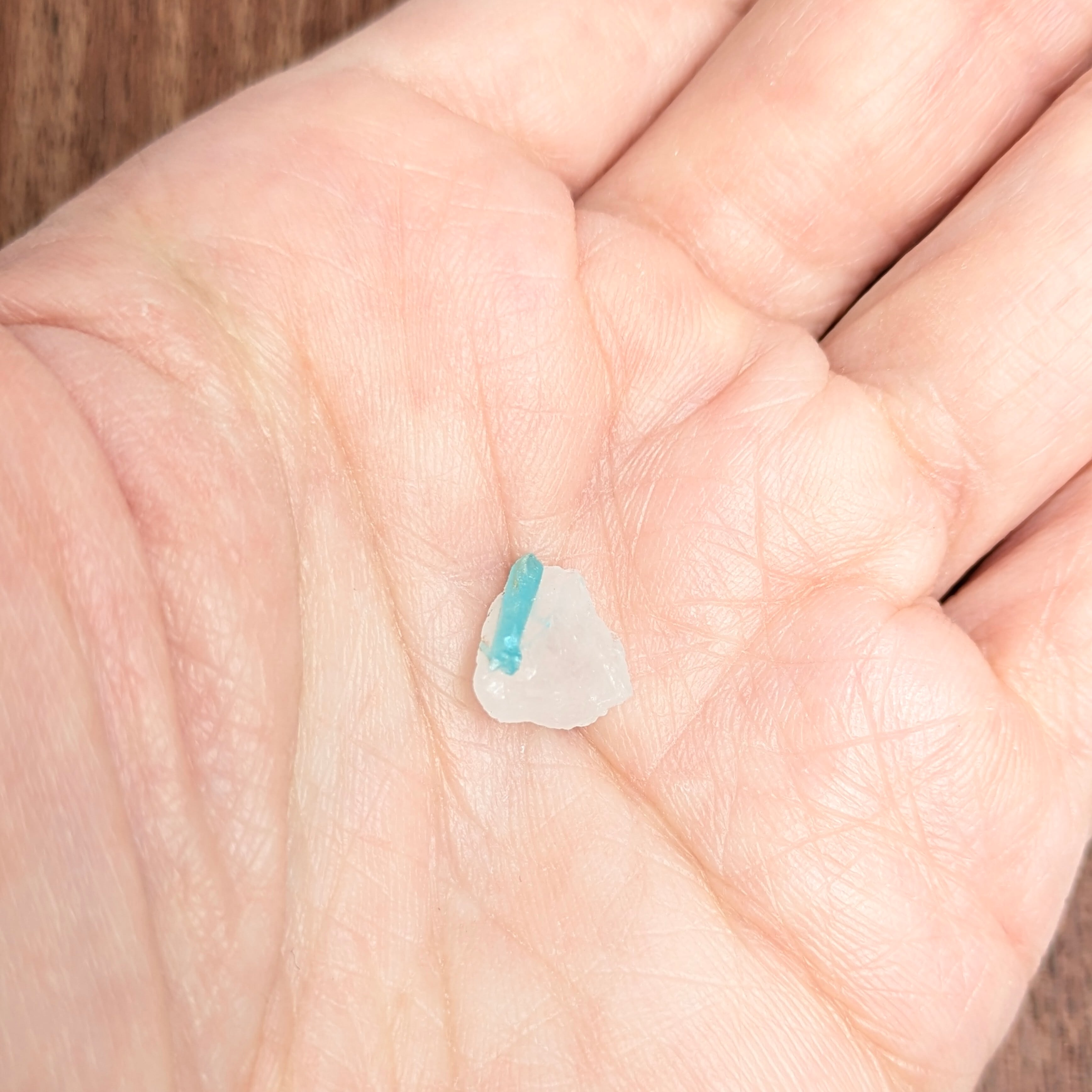 パライバトルマリン原石 ブラジル・パレーリャス産【2.49ct】PRO207986