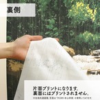 【受注生産】 のれん  Swan in the garden  幅85ｘ丈 90cm