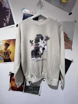 FLAGSTUFF : DOG SWEAT FS1185 C/# BEIGE SIZE L