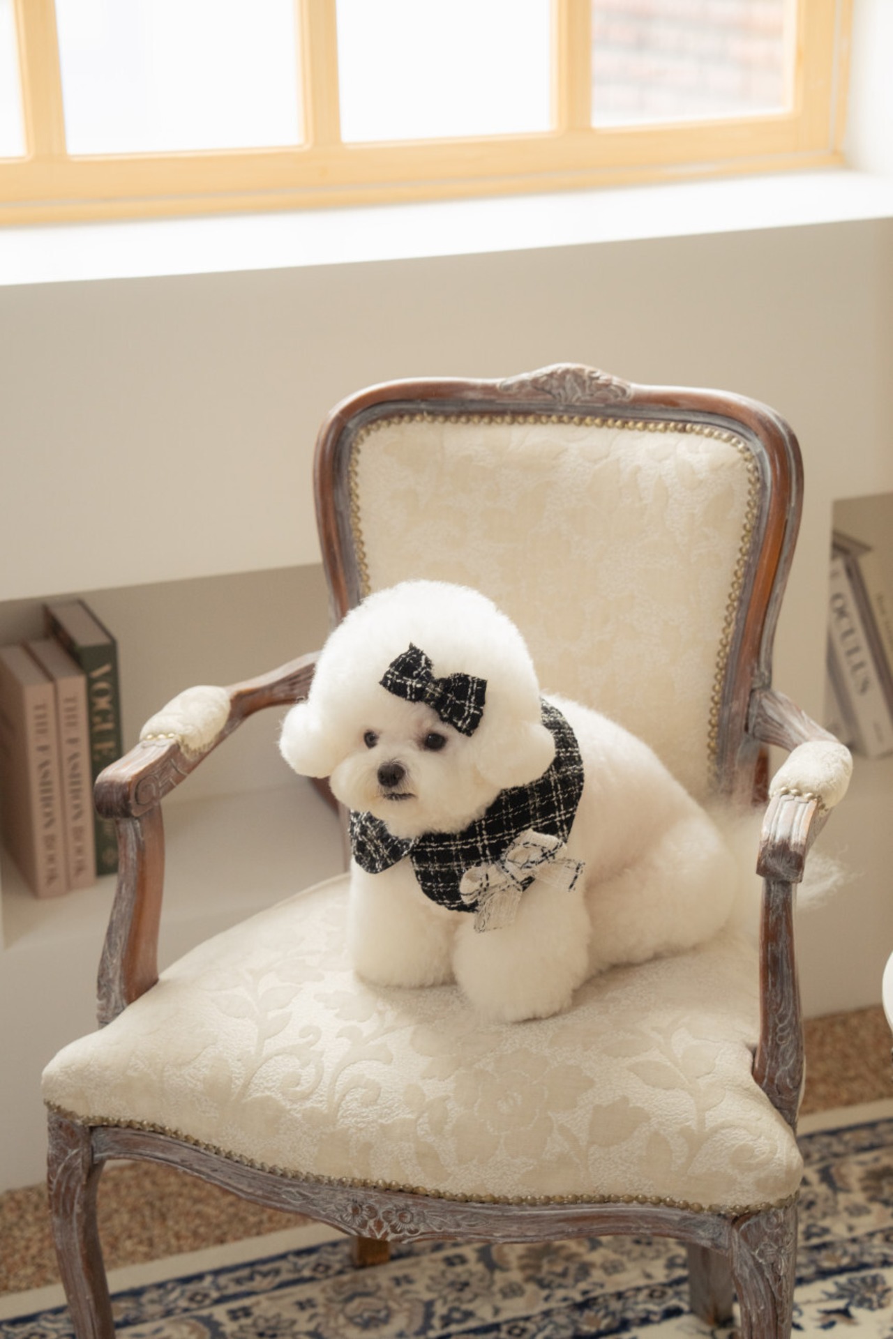 予約【pecoramou select】Tweed check cape（Black）