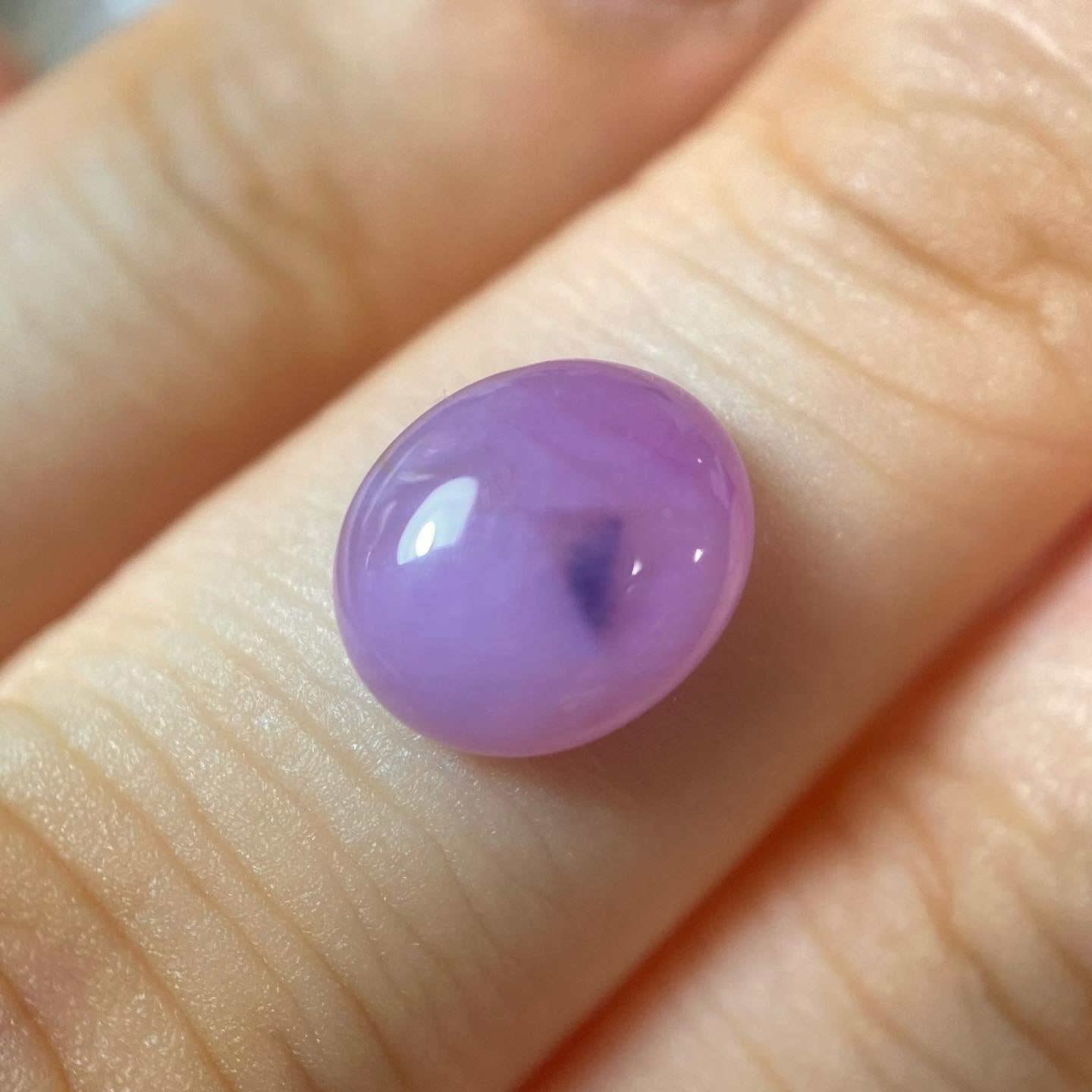 青い鳥たたずむサファイア