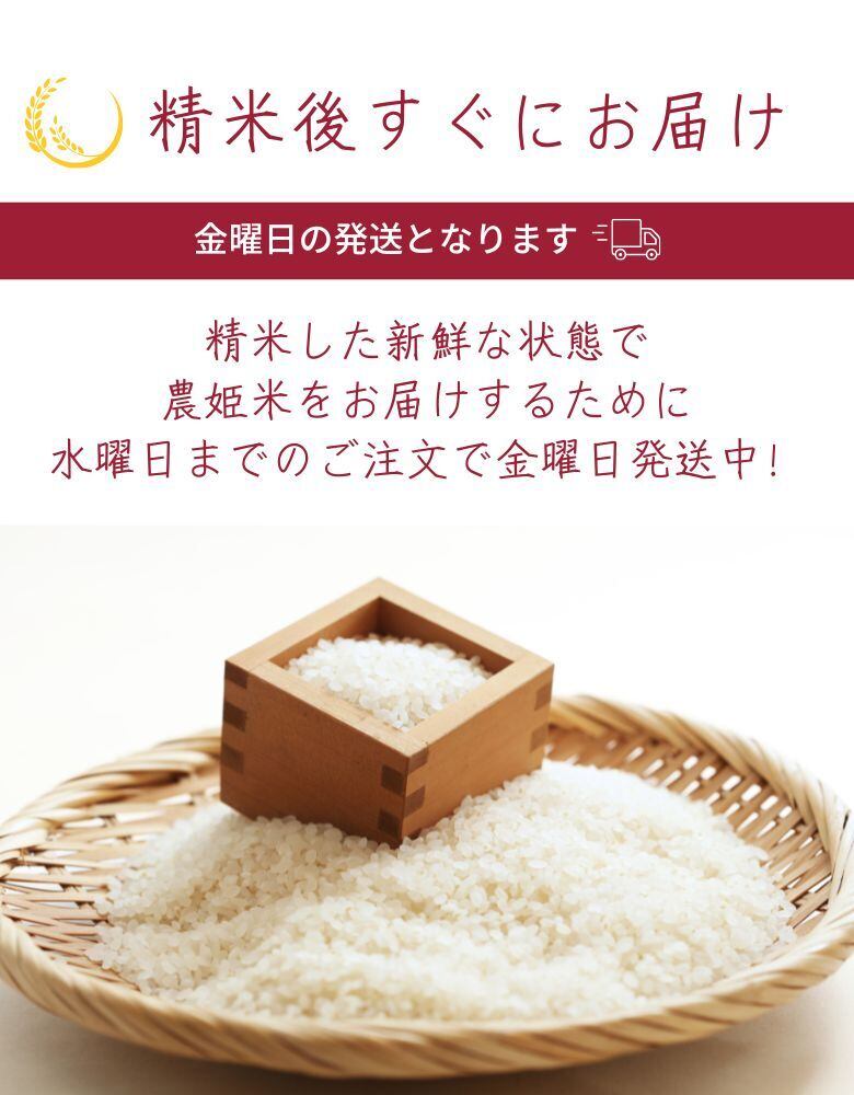 新米 令和7年産 ササニシキ玄米10kg（精米10kg） 【送料無料】 | 【農