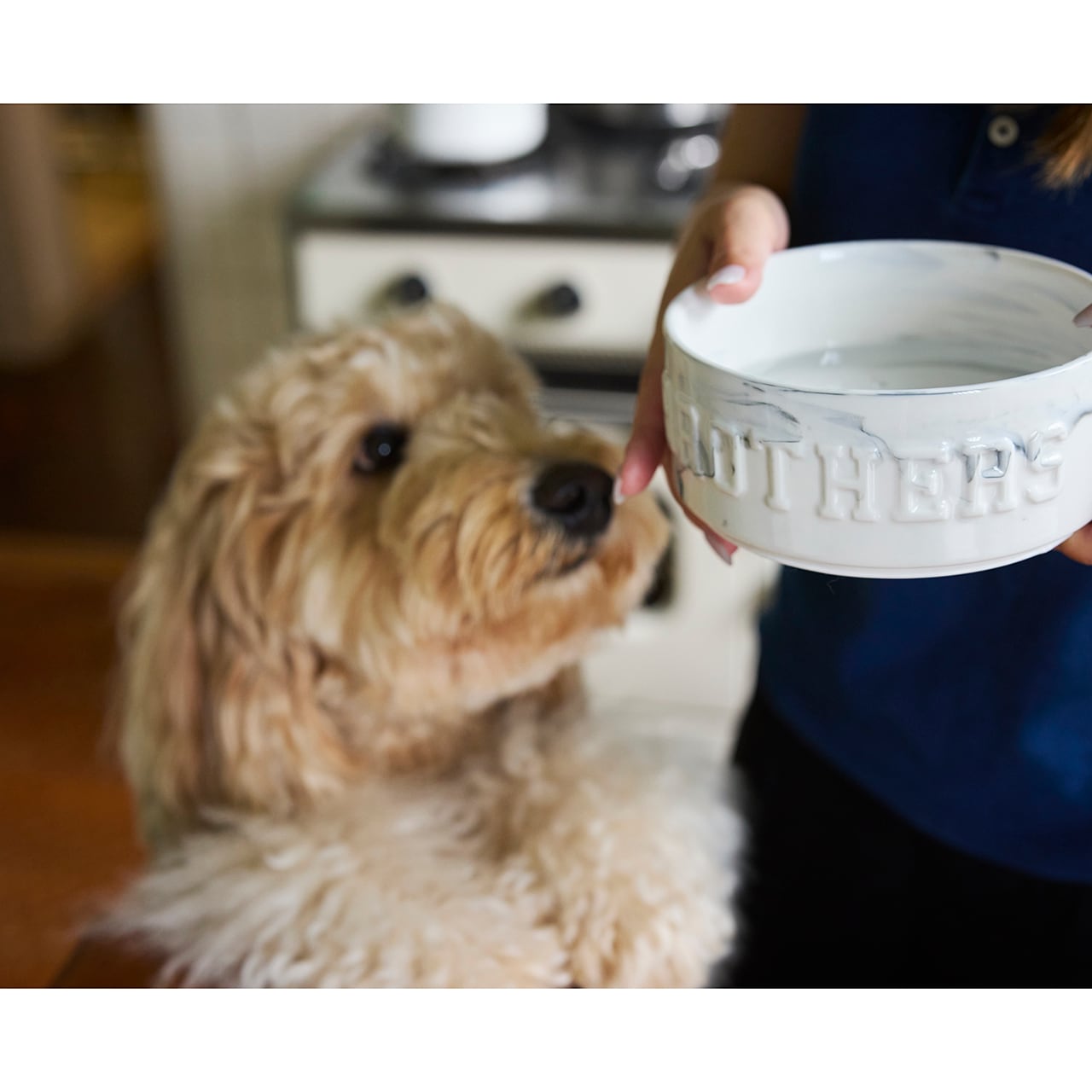 MARBLE COMBINATION BOWLS マーブルコンビネーションボウルズ