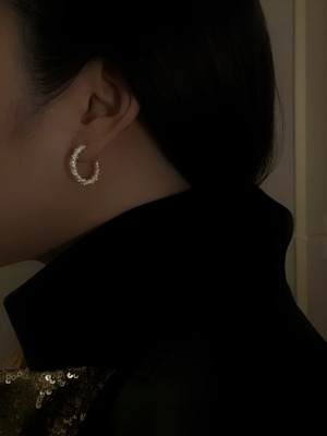 Fashionable earrings in sterling silver【H00025】