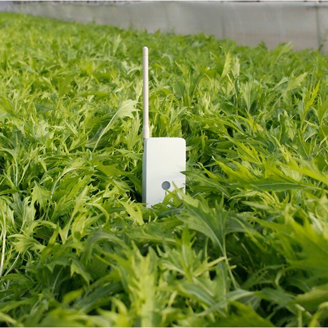 搬入設置サービス付 【超美品】センスプラウトプロ 土壌センサー\u0026