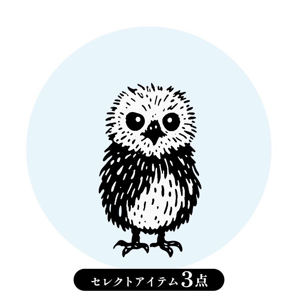 福籠 - 雛 - / フクロウヒナ