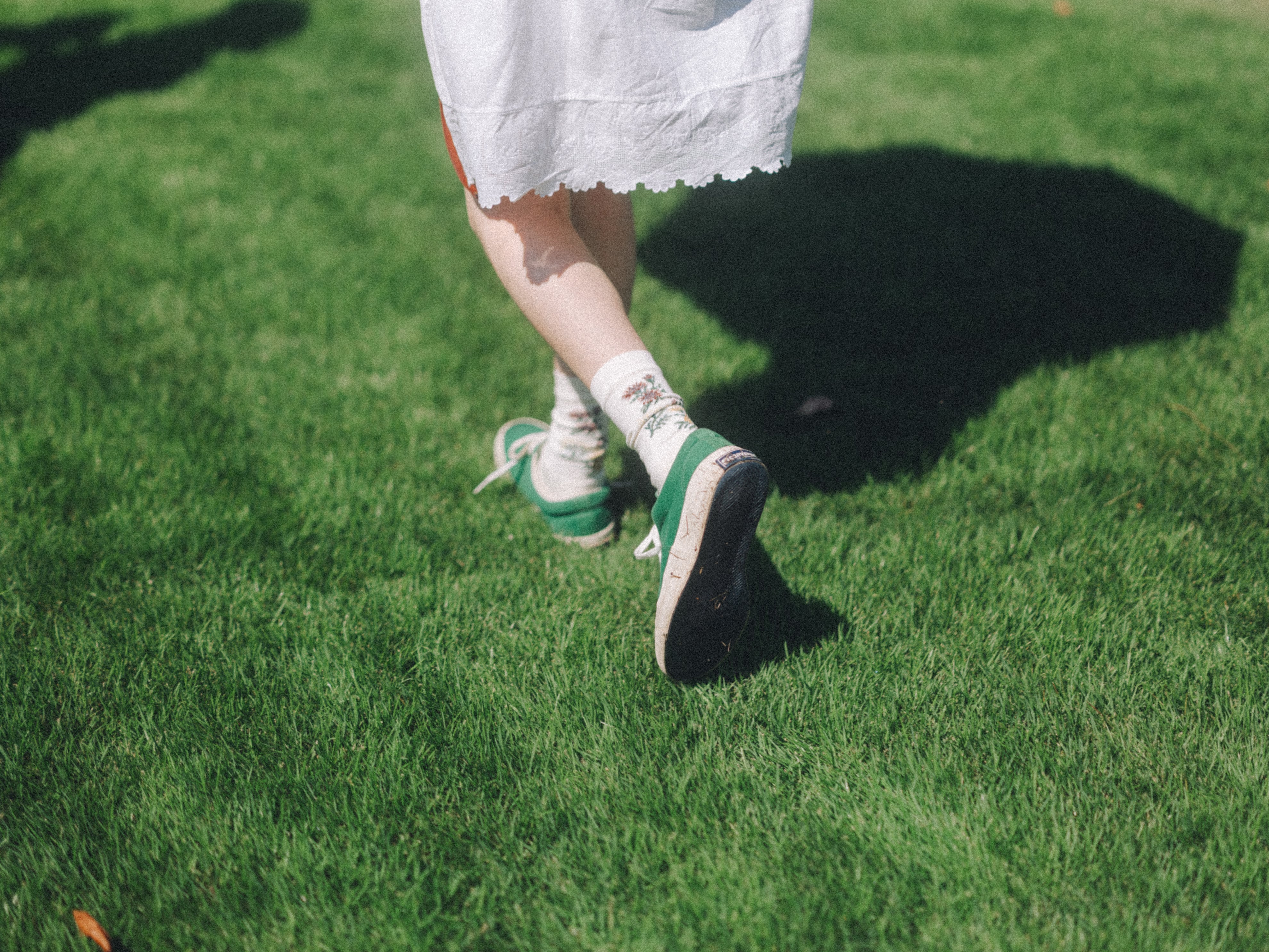 高山植物図鑑 col. off white | l a c e f l o w e r s o c k s