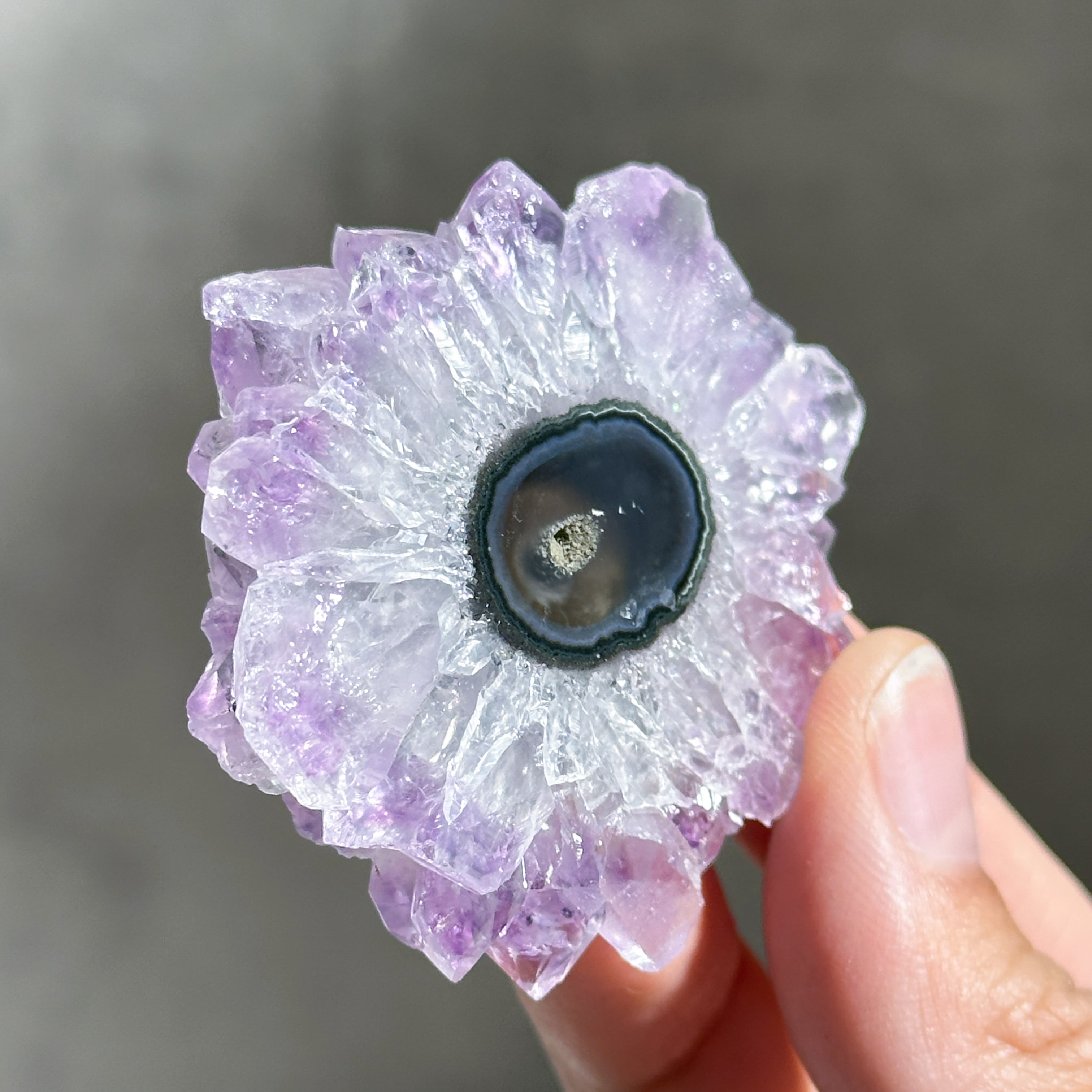 高品質 アメジスト八角形♡多面カット♡ 繁栄・幸運・幸福 No.2492 フラワーアメジスト スライス64◇ Flower Amethyst ◇天然石・鉱物