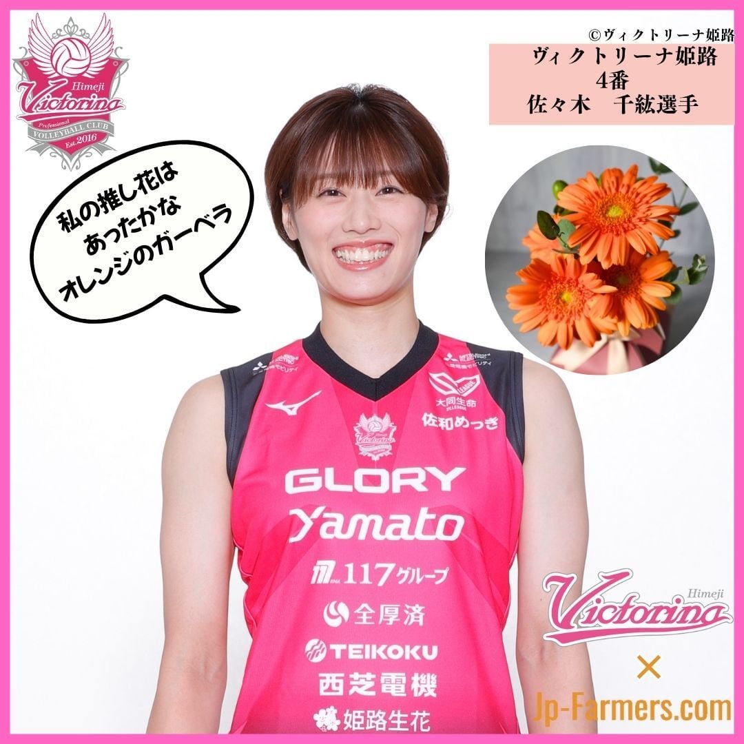 7d32a31ff72f21a34799d75fac46aa