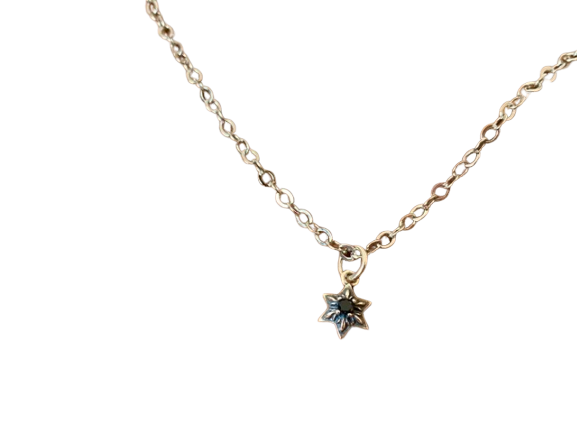 STAR SILVER925 NECKLACE (スター シルバー925 ネックレス)