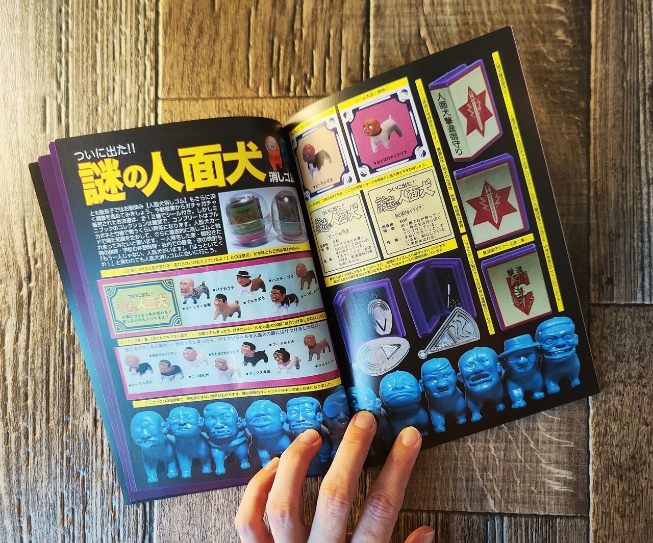 人面犬 研究駄ワン！ ／ とも駄珍子 館長 | NutsBookStand