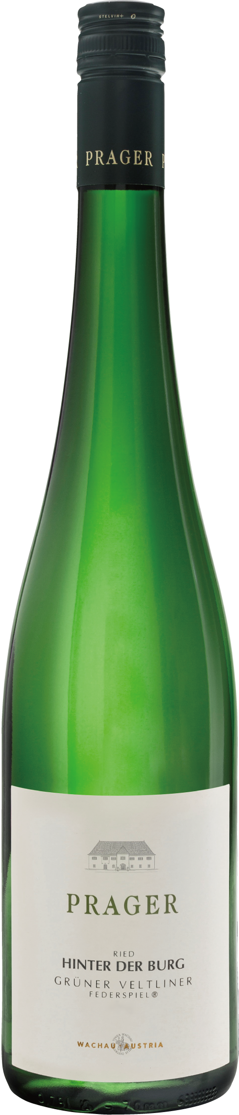 新VT【プラーガー】グリューナー・フェルトリーナー・ヒンター・デル・ブルグ フェーダーシュピール　2023