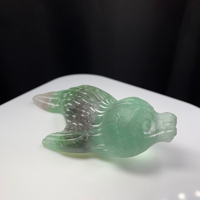 フローライトアザラシ