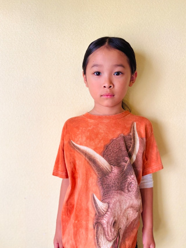 【KIDS vintage】 90's vintage  Triceratops THE MOUNTAIN T-sh.  size:5-6y