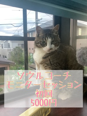 ソウルコーチモニターセッション初回