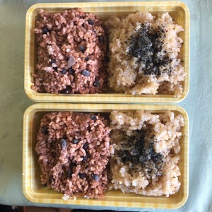 【酵素玄米＆玄米セット】220g×2食×9パック＜冷凍＞80サイズ