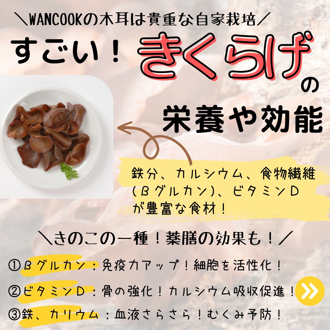 やぎミルク入りチキンおからバーグ(木耳)