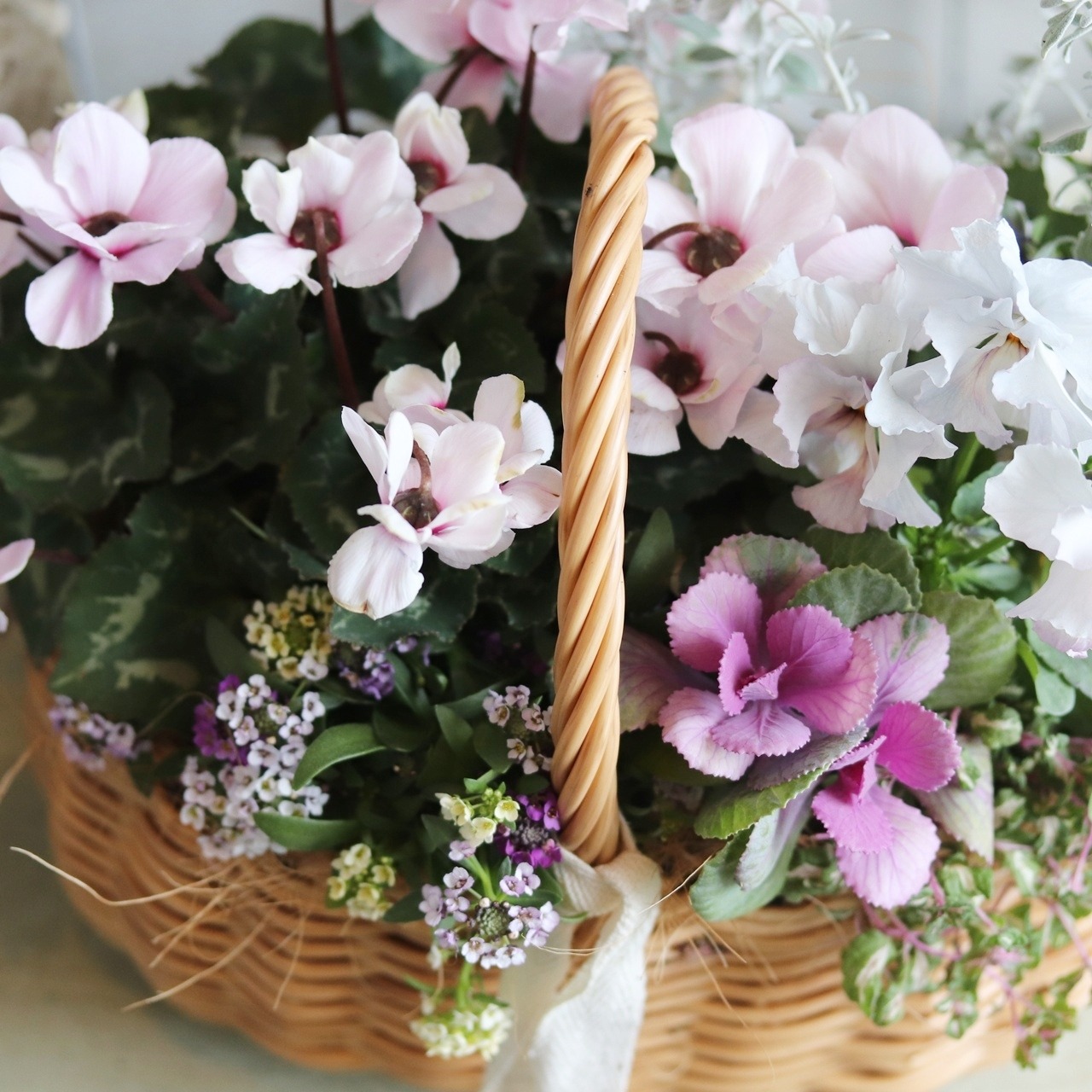 冬から春に楽しむ寄せ植え　ピンクの八重咲きシクラメンとパンジーぺルクレアのやさしい春色のバスケットの寄せ植え　お正月にオススメ　届いてすぐ玄関に飾れる 　プレゼントにもオススメ　