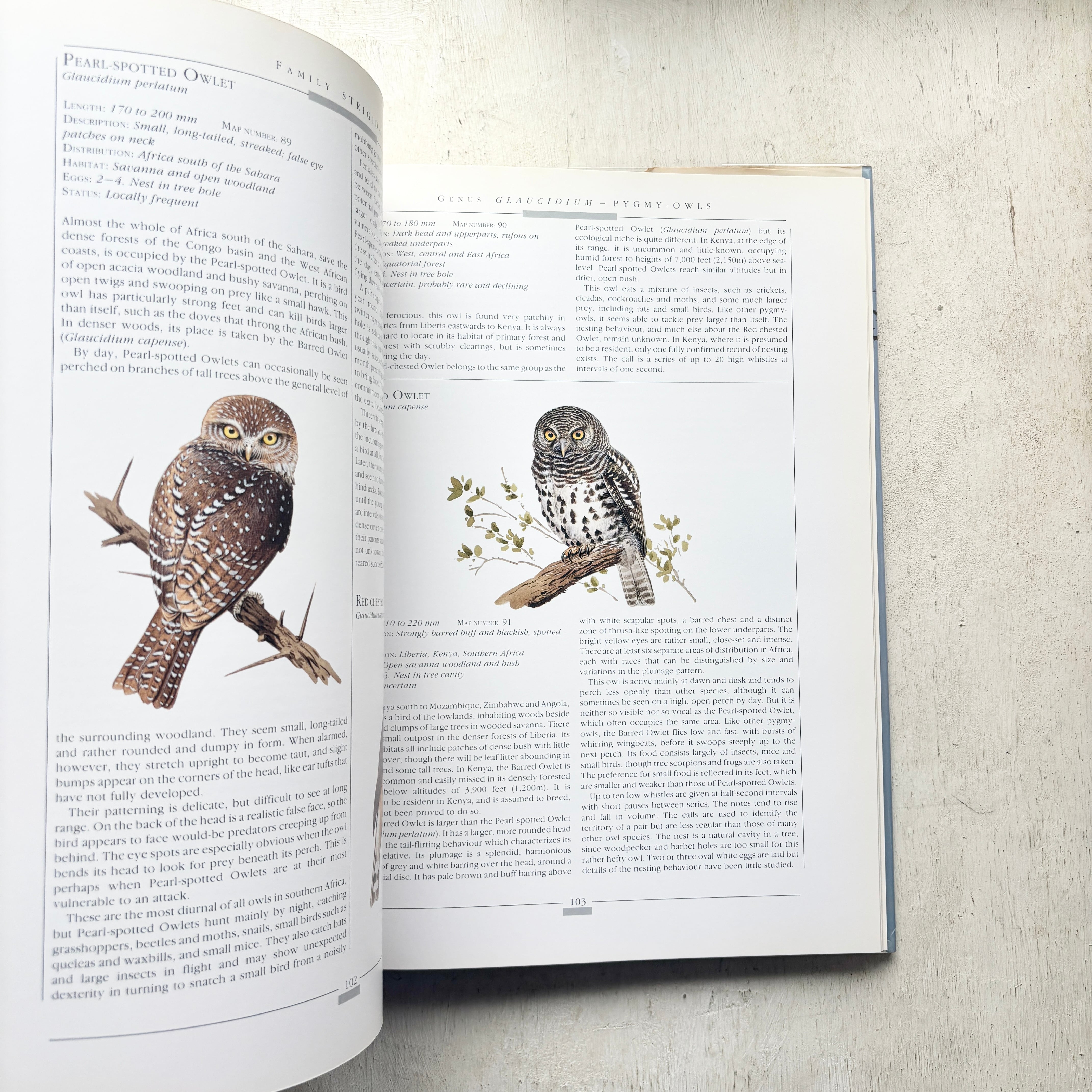 Owls of the World - Rob Hume世界のフクロウ図鑑　洋書 世界のふくろう OWLS OF THE WORLD | folklora