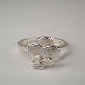 ウチワタケ×珪化木 シルバーリング tree mushroom & silicified wood silver ring