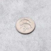 アイルランド 5クローナ コインリング｜ICELAND 5KRONUR COINRING