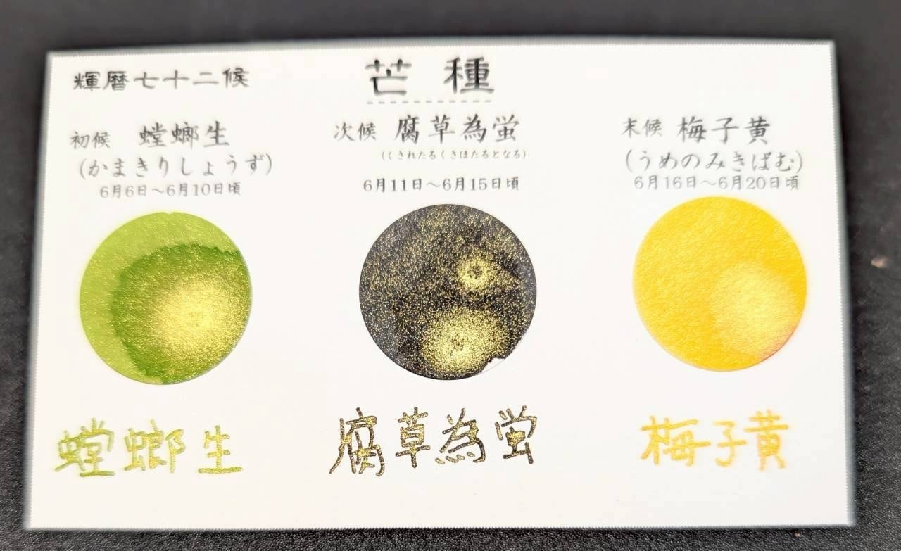 ラメ入り】輝暦七十二候「芒種3色セット」 | 万年筆とインクの専門店