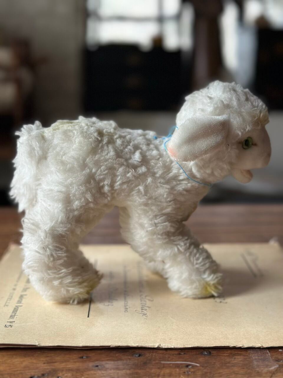 羊のぬいぐるみ Steiff(シュタイフ社製) Cosy Lamby | Brocante de La