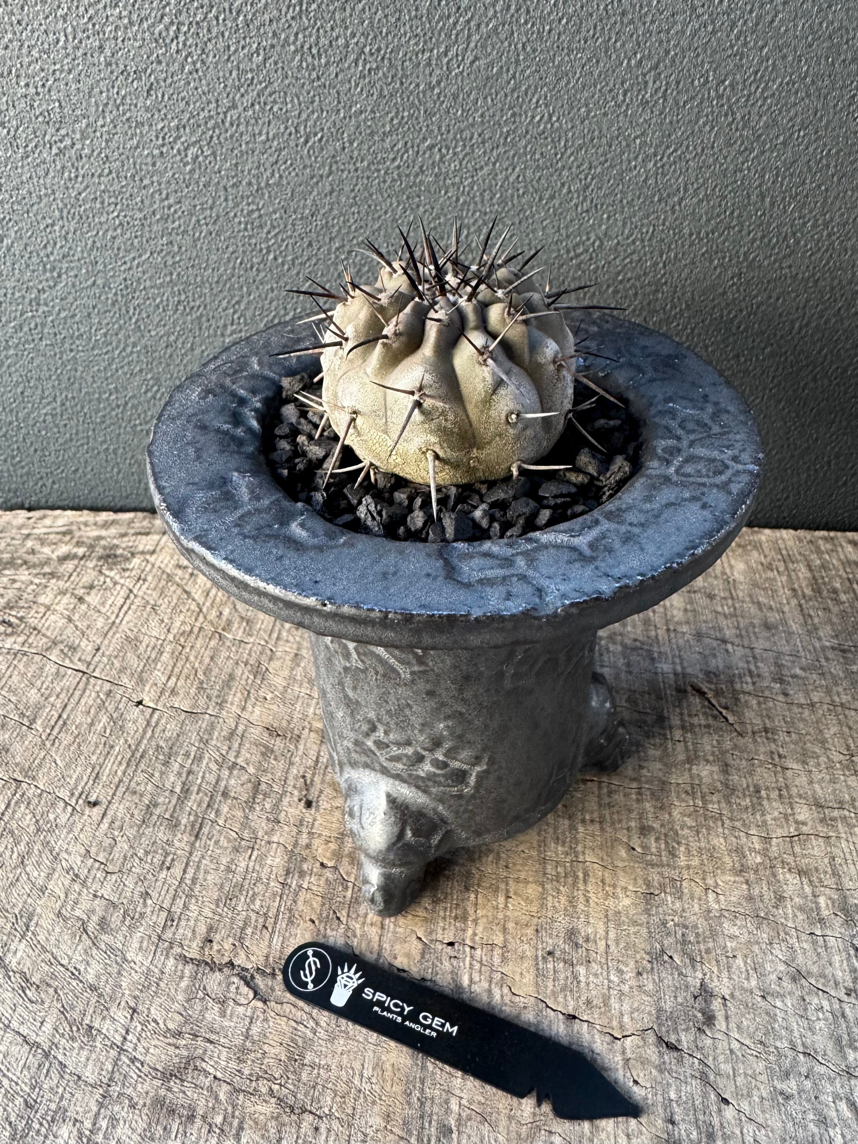 イ*ー様 スパイシージェム studs pot ver.vase S