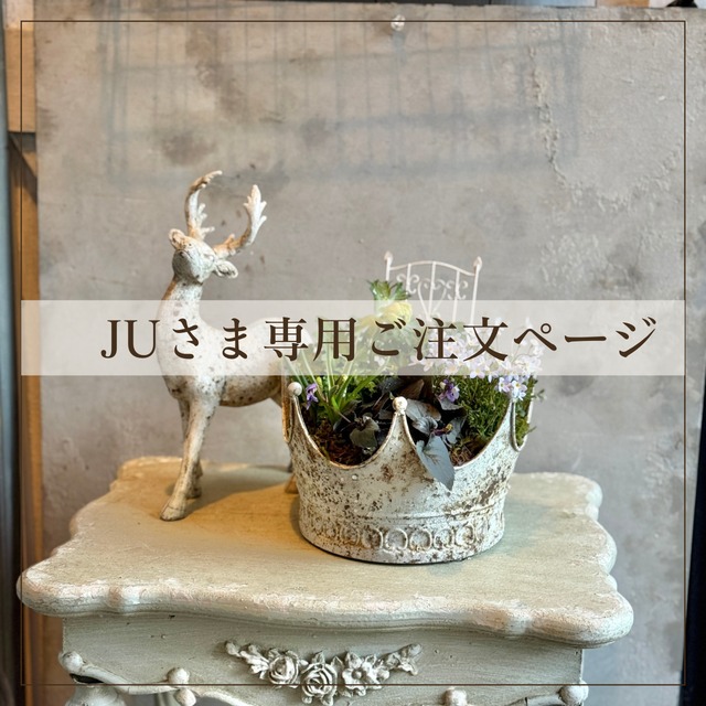 鉢（陶器・ブリキ） | 寄せ植え お花のプレゼント モンディマンシェ