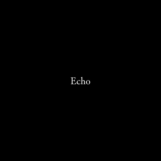 【通常版】Art Book 「Echo」