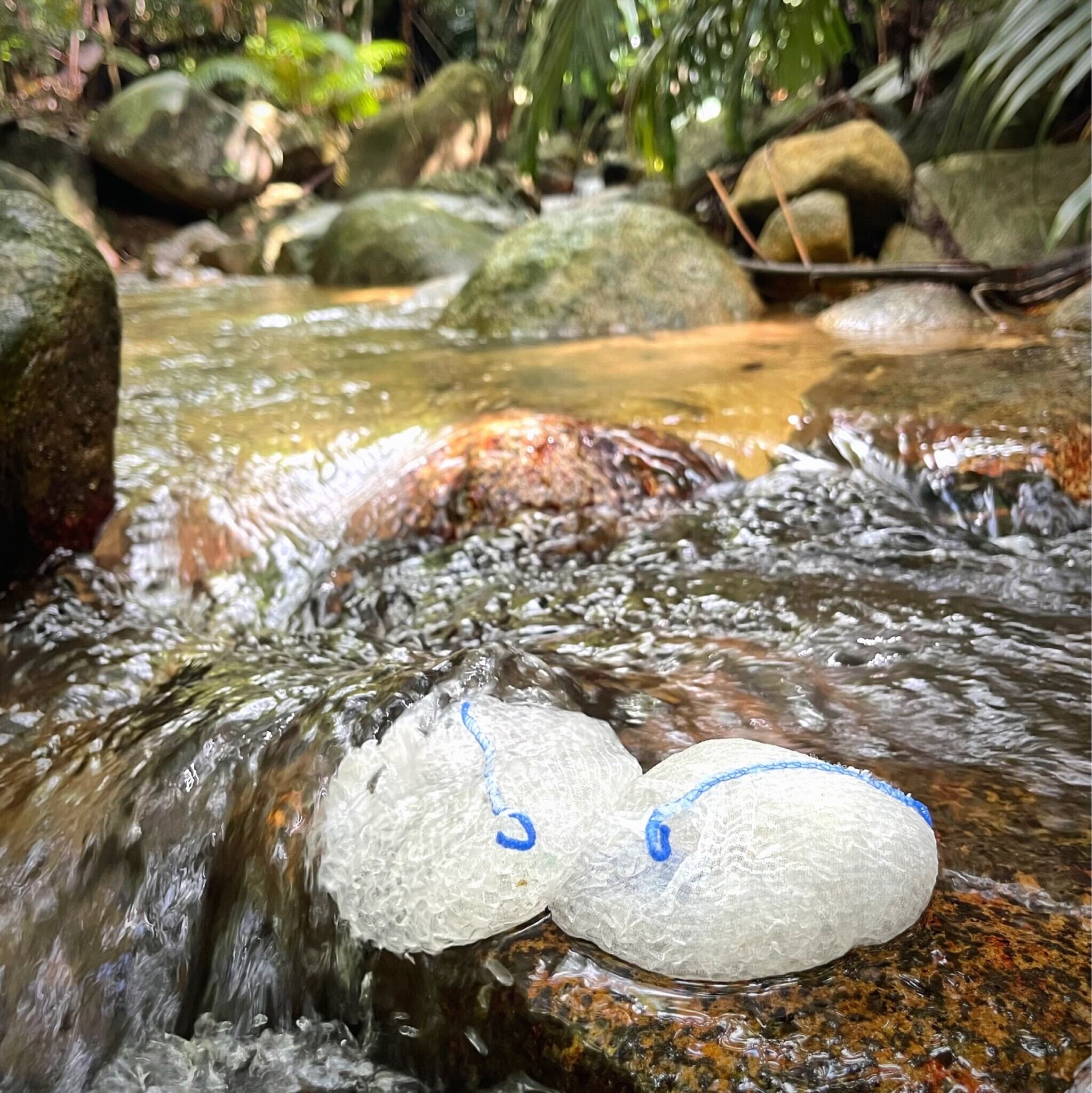 モモ様 オーダーナプキン入れ 完成品