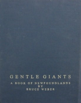 GENTLE GIANTS BRUCE WEBER | magnif